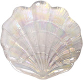 Shell Shape Fruit & Jewelry Tray - Clear Glass Sea Shell Plate