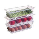 Transparent Fish and Vegetable Storage Container with Drain Plate and Lid - 1 Pc