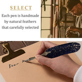 Vintage Carving Feather Pen Set with Ink, Nibs & Stand
