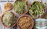 4-Layer Plastic Sprout Maker Box for Fresh Organic Home Sprouts