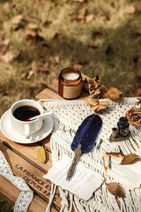 Vintage Carving Feather Pen Set with Ink, Nibs & Stand