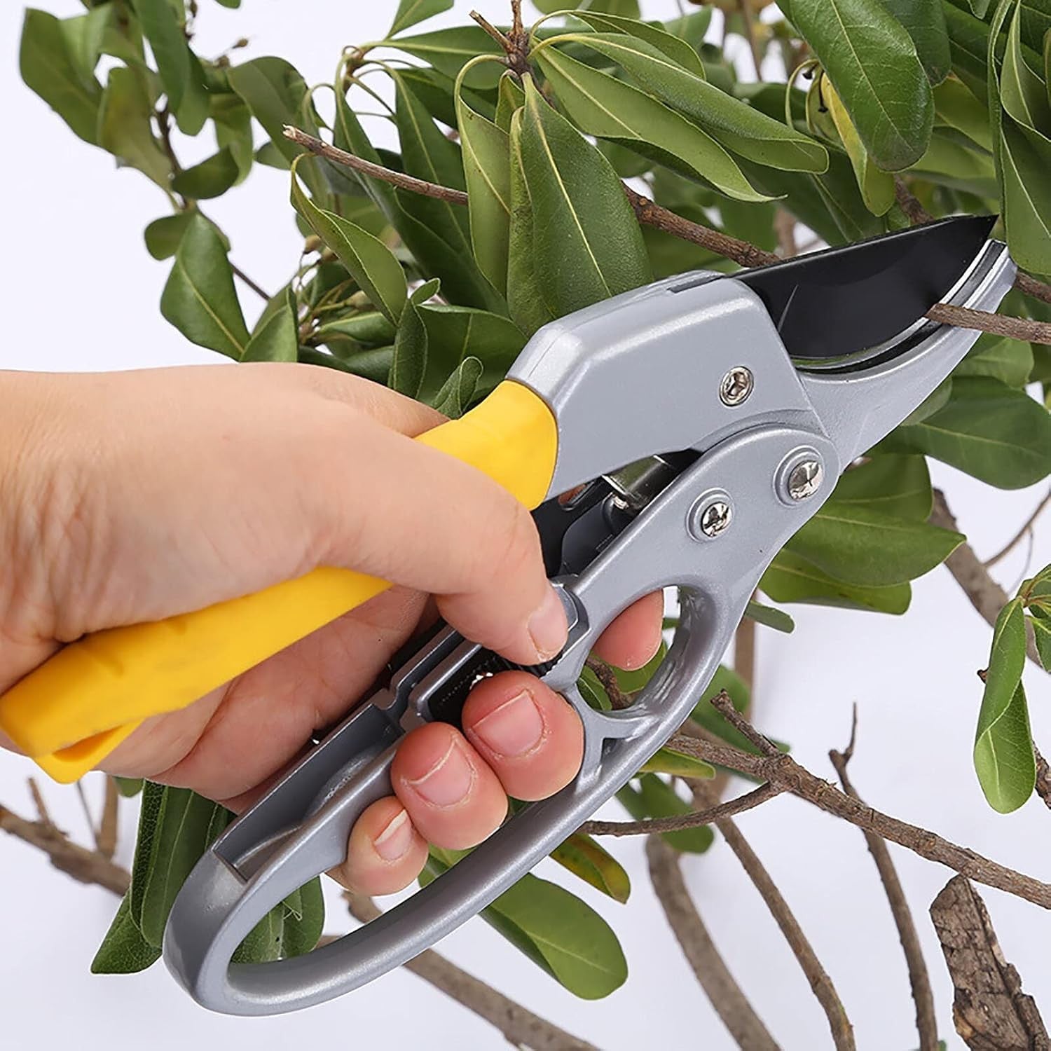 Stainless Steel Gardening Snip - Precision Garden Cutting Scissors