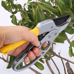 Stainless Steel Gardening Snip - Precision Garden Cutting Scissors