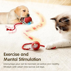 Electric Rolling Dog Ball Toy for Active Pets
