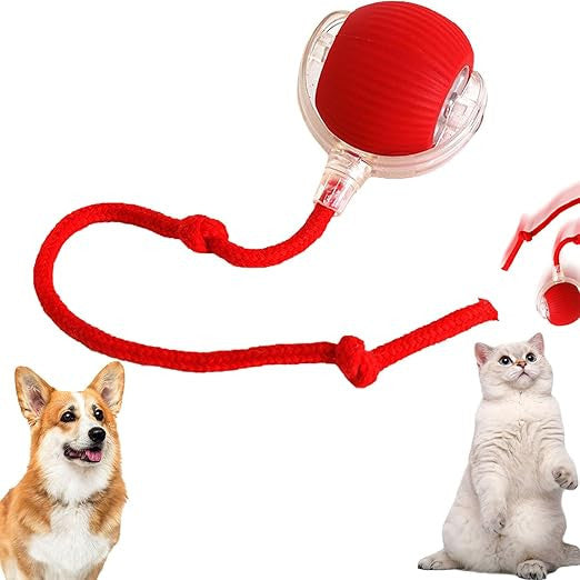 Electric Rolling Dog Ball Toy for Active Pets