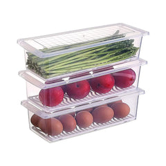 Transparent Fish and Vegetable Storage Container with Drain Plate and Lid - 1 Pc