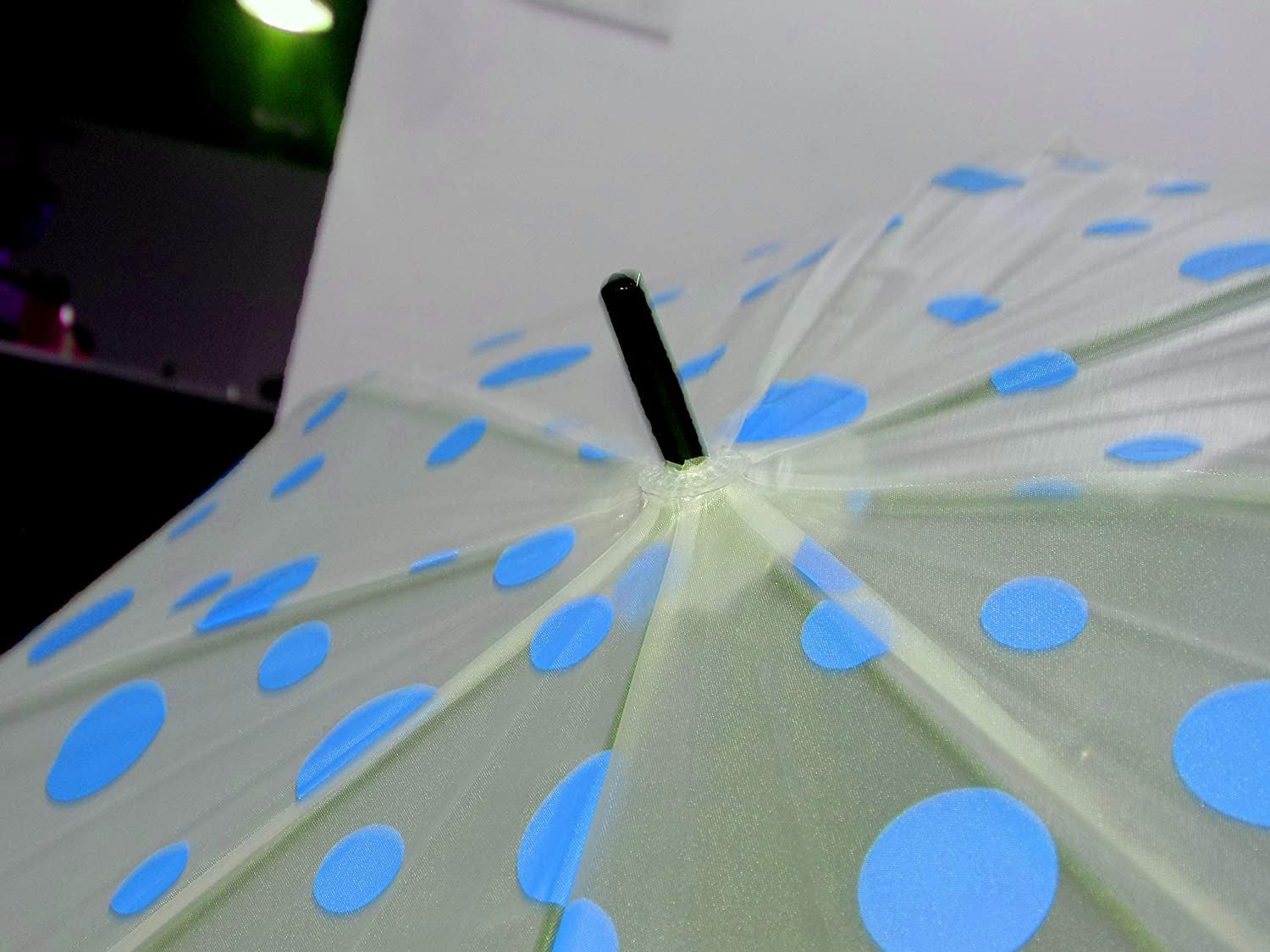 Blue Dot Transparent Folding Umbrella for Kids & Adults