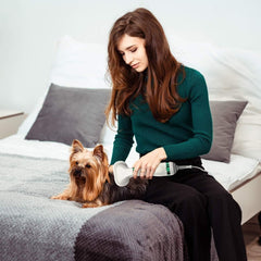 Pet Grooming Dryer & Brush Combo for Small & Medium Dogs and Cats