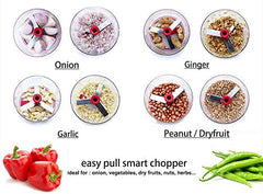 Big Pull Handheld Eco-Friendly Vegetable & Fruit Chopper with Stainless Steel Blades