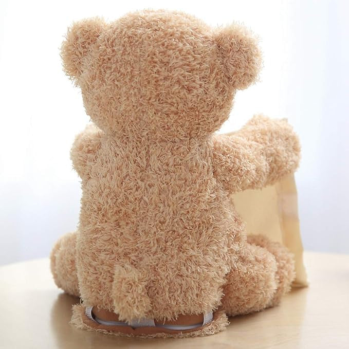 Peek-A-Boo Teddy Bear Toy for Kids