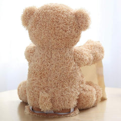 Peek-A-Boo Teddy Bear Toy for Kids