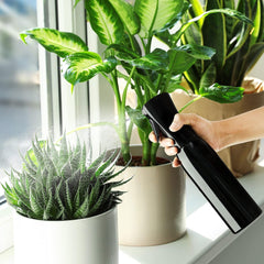 Refillable Mist Spray Bottle for Water and Beauty Use