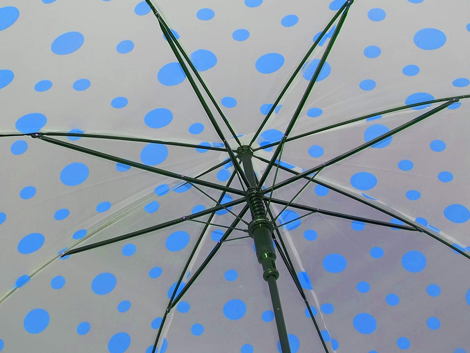 Blue Dot Transparent Folding Umbrella for Kids & Adults