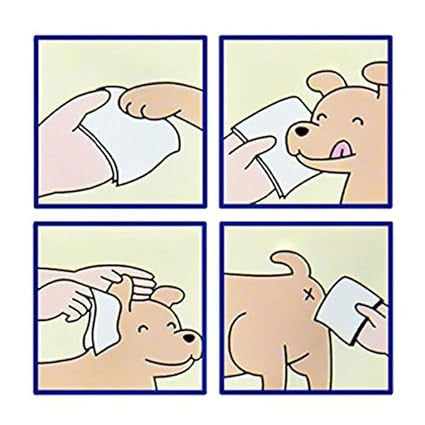 Pet Cleaning Wipes - Gentle Wet Wipes for Pets (40 characters)