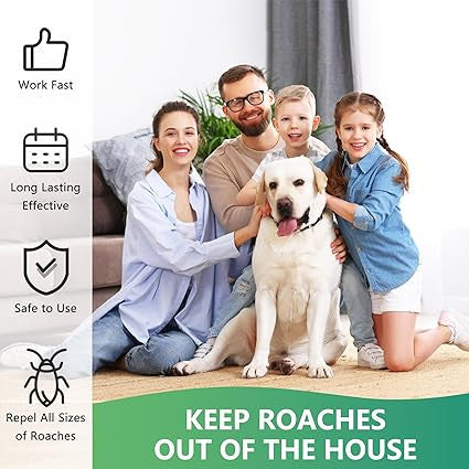 Effective Cockroach Killer Gel Trap with Bait Stations and Repellent