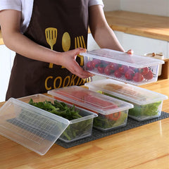 Transparent Fish and Vegetable Storage Container with Drain Plate and Lid - 1 Pc