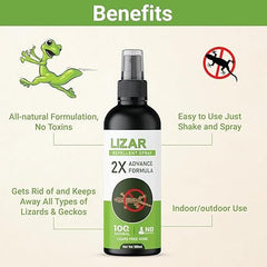 Effective Lizard Repellent Spray for Home & Garden