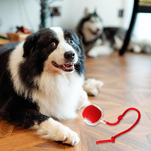 Electric Rolling Dog Ball Toy for Active Pets