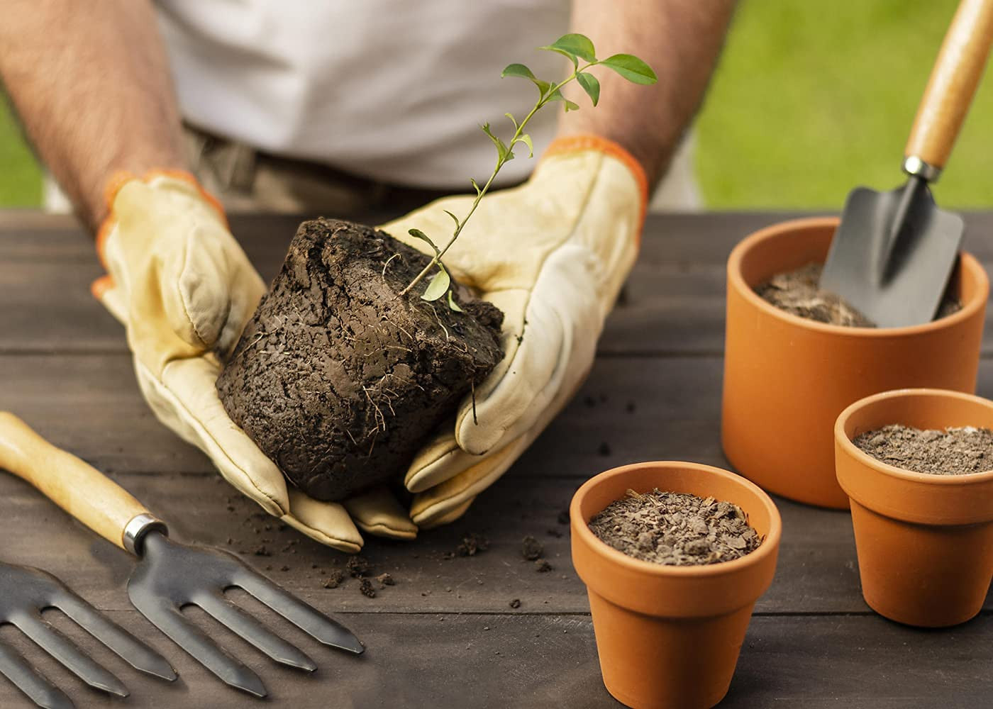 Small Gardening Tool Set with Wooden Handles for Soil Care