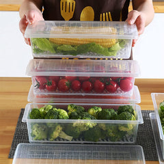 Transparent Fish and Vegetable Storage Container with Drain Plate and Lid - 1 Pc