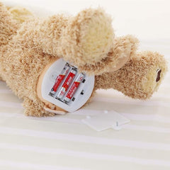 Peek-A-Boo Teddy Bear Toy for Kids