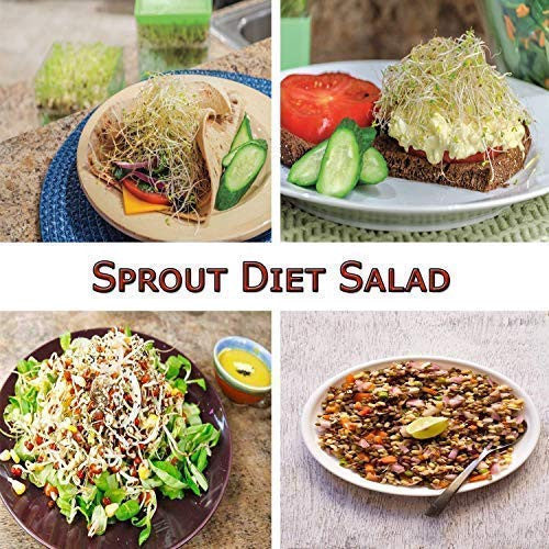 4-Layer Plastic Sprout Maker Box for Fresh Organic Home Sprouts