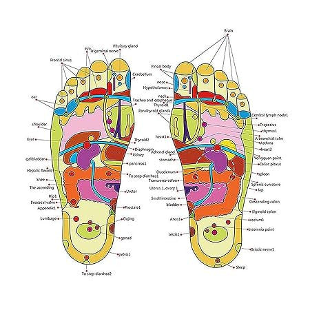 Adjustable Yoga Slippers with Acupressure & Magnetic Therapy for Foot Relief