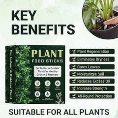 30-Pack Green Plant Food Sticks for Healthy Growth