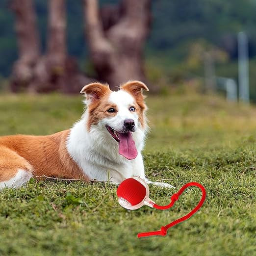 Electric Rolling Dog Ball Toy for Active Pets