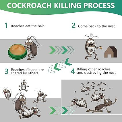 Effective Cockroach Killer Gel Trap with Bait Stations and Repellent