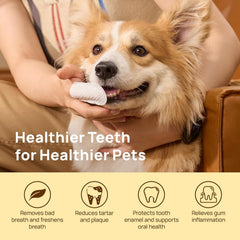 Pet Finger Dental Wipes for Easy Teeth Cleaning