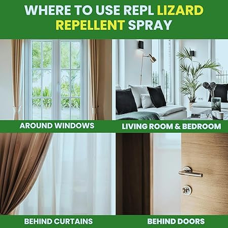 Effective Lizard Repellent Spray for Home & Garden