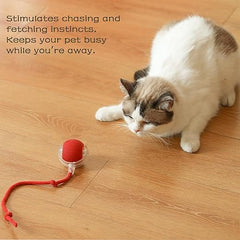 Electric Rolling Dog Ball Toy for Active Pets