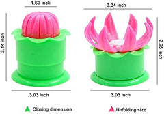 RRDIYZ Multi-Color Plastic Momos & Dumpling Maker with Dough Cutter