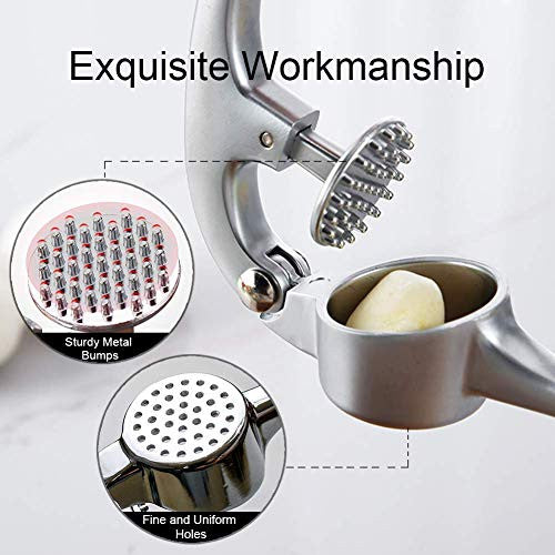 Fulminare Stainless Steel Garlic & Ginger Press - Easy Mince & Crush Tool