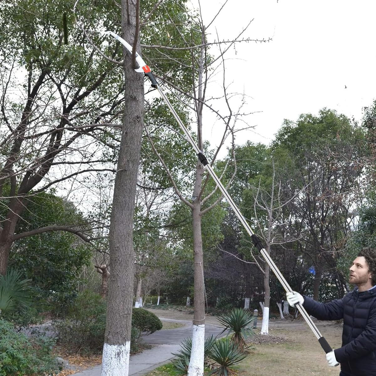 Telescopic Stainless Steel Pole Saw with Curved Hooked Blade