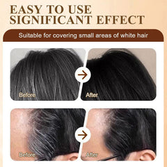 Hair Dye Stick & Touch-Up Comb for Easy Hair Coloring