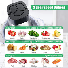 2-Liter Electric Meat Grinder with Handle, ABS & Stainless Steel, 250W