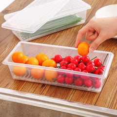 Transparent Fish and Vegetable Storage Container with Drain Plate and Lid - 1 Pc