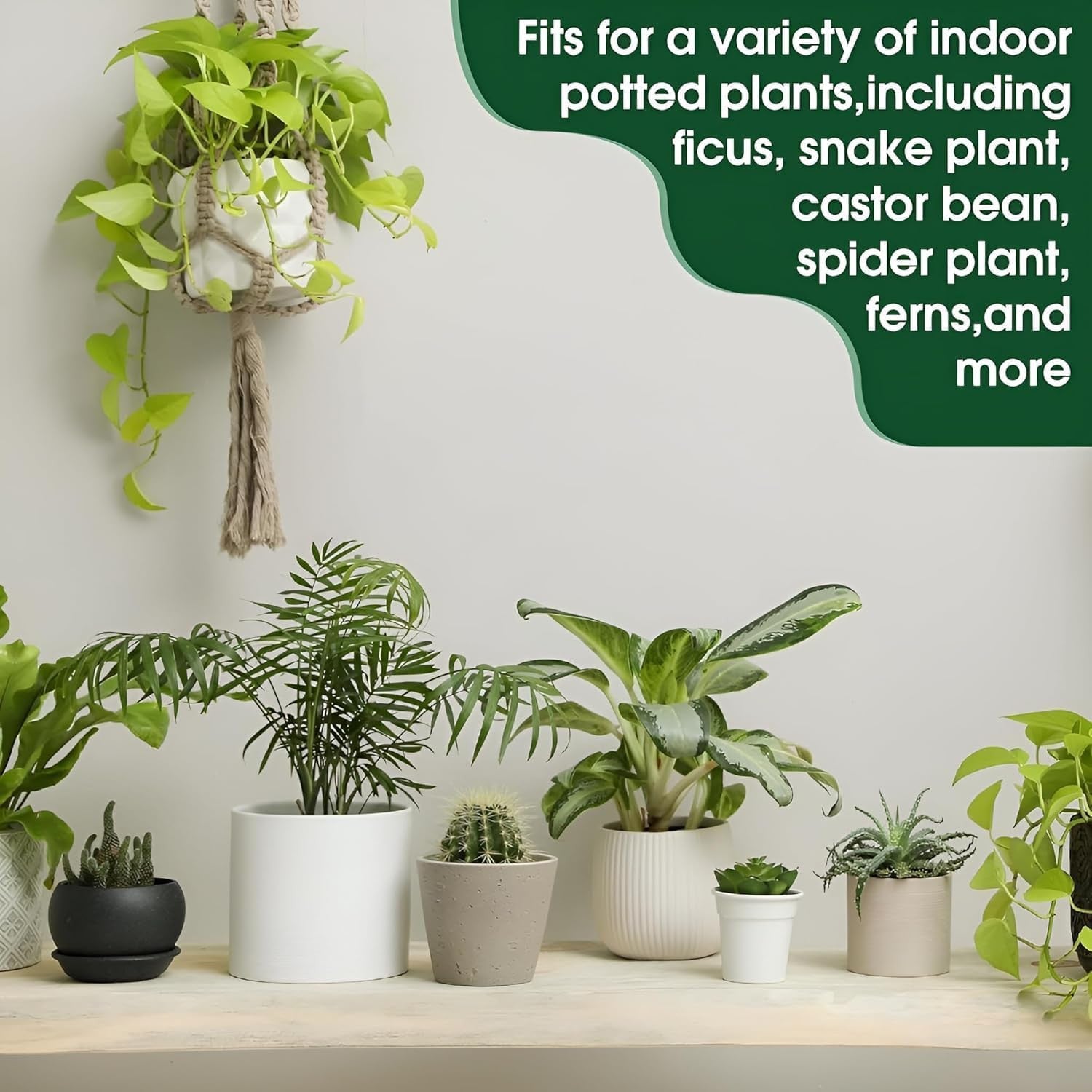 30-Pack Green Plant Food Sticks for Healthy Growth