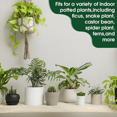 30-Pack Green Plant Food Sticks for Healthy Growth