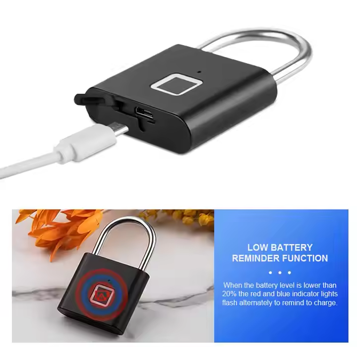 Smart Biometric Fingerprint Lock for Cabinets & Doors