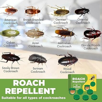 Effective Cockroach Killer Gel Trap with Bait Stations and Repellent