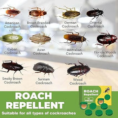Effective Cockroach Killer Gel Trap with Bait Stations and Repellent
