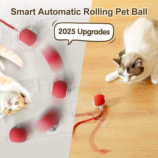 Electric Rolling Dog Ball Toy for Active Pets