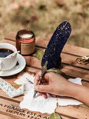 Vintage Carving Feather Pen Set with Ink, Nibs & Stand
